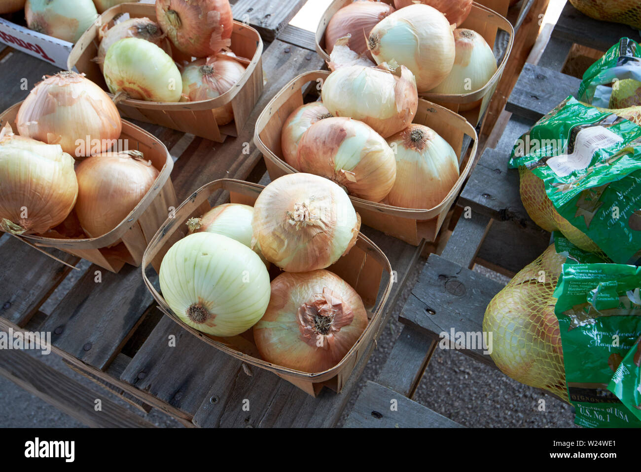 Cestini di freschi grandi cipolle vidalia per la vendita in una fattoria fuori townsend georgia usa Foto Stock