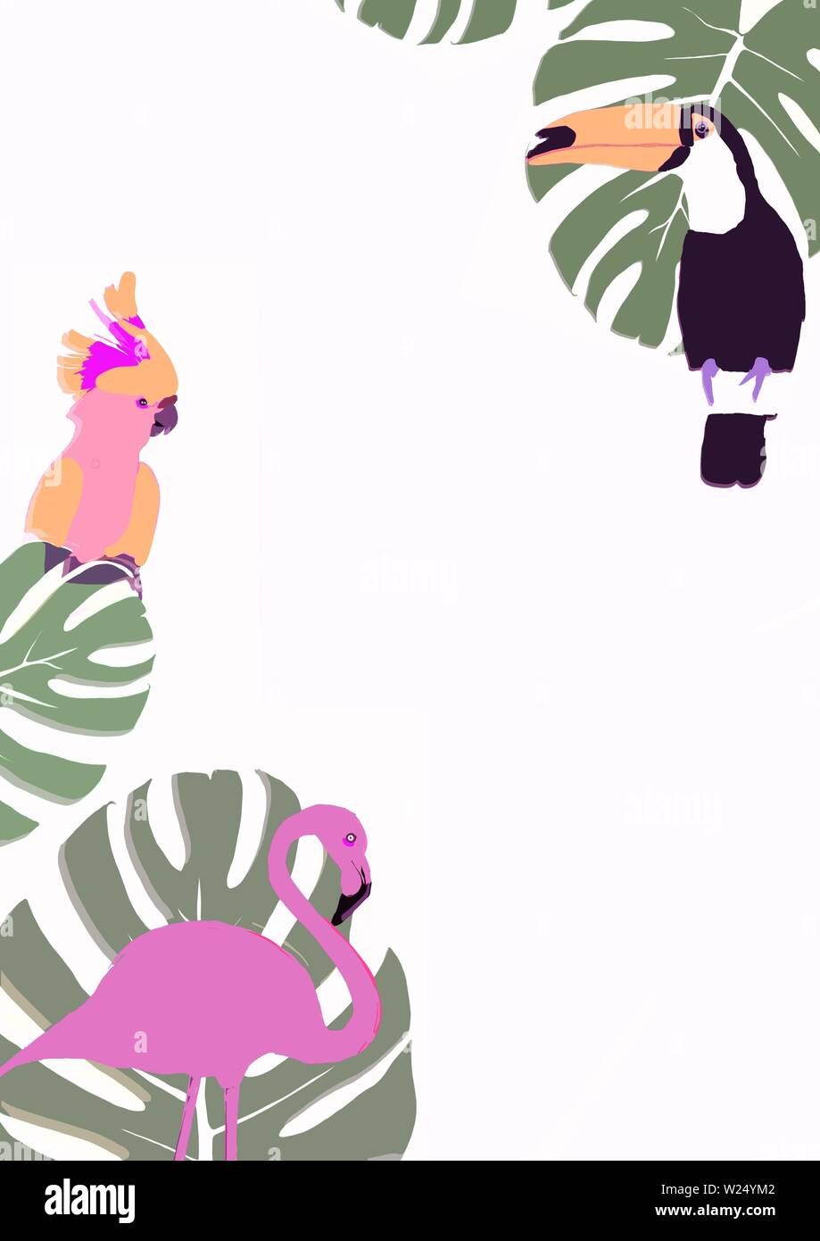 Gli uccelli tropicali sfondo con lo spazio di testo Foto Stock