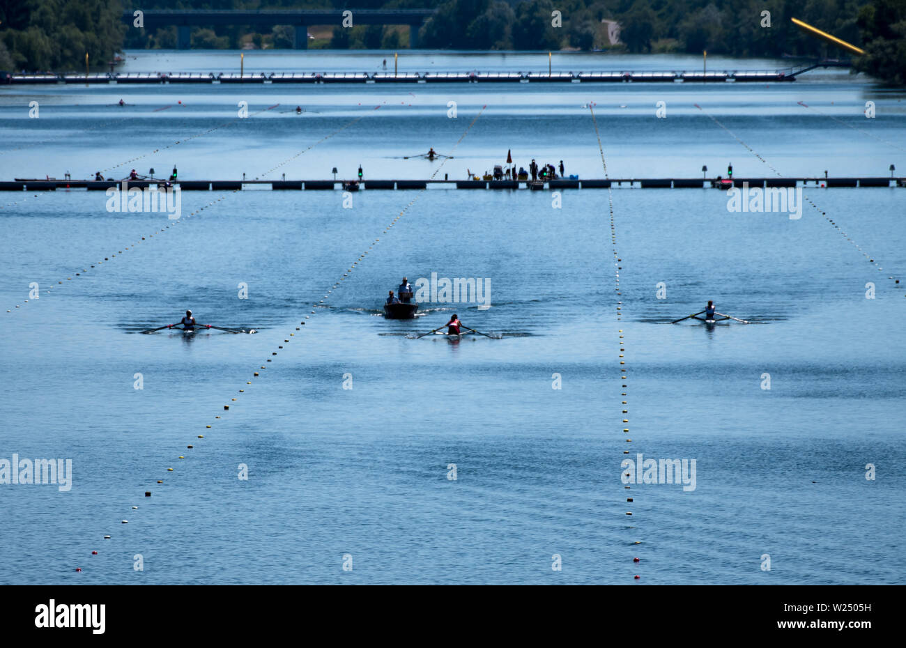 Regata di Canottaggio con doppia gara gusci Foto Stock