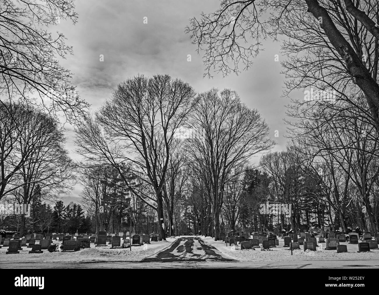 Cimitero Pinecrest, Ottawa Foto Stock