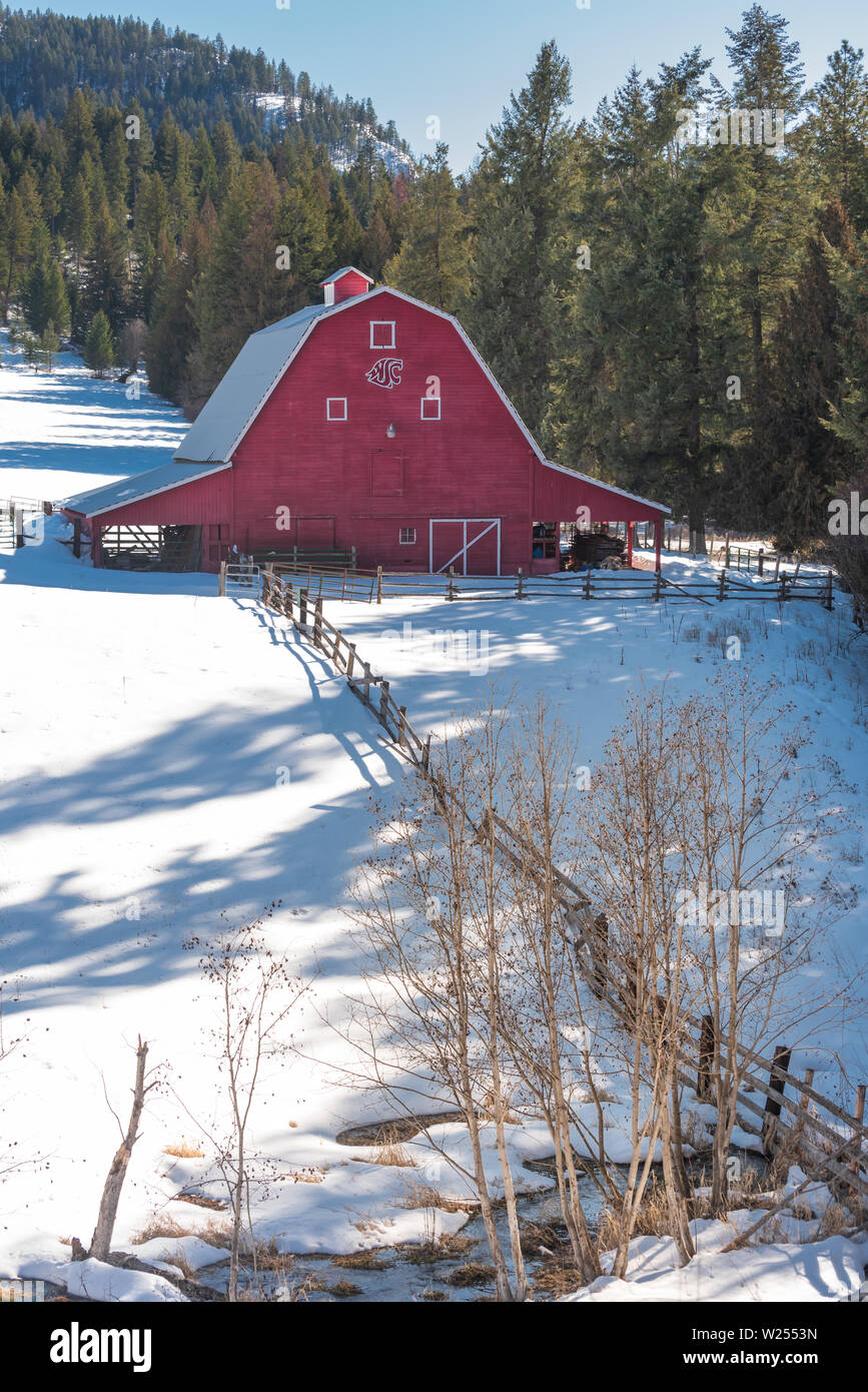 Un Scenic granaio rosso e coperta di neve campo circondato da alberi nelle Colline vicino Chewelah Washington Foto Stock