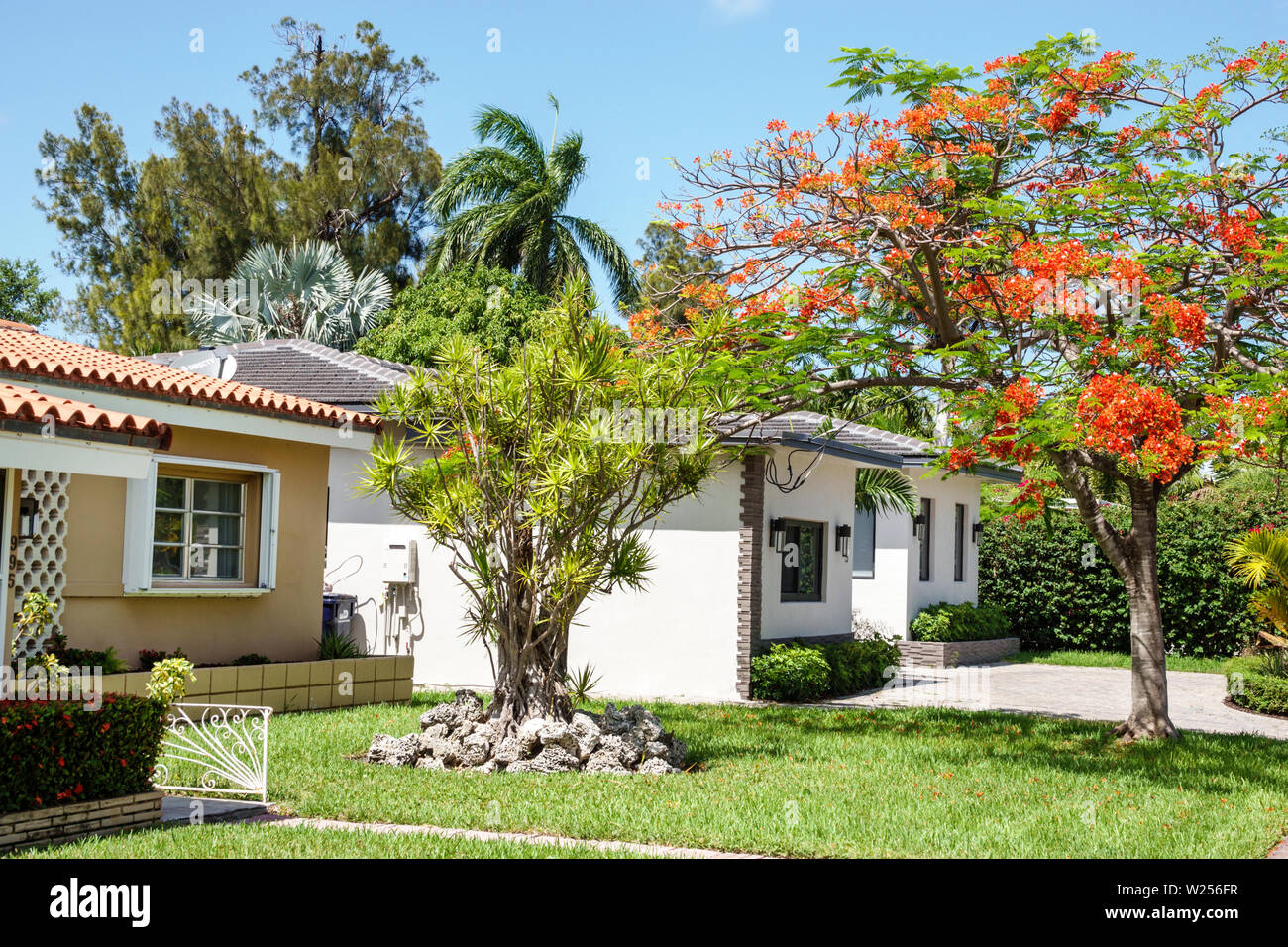 Miami Beach Florida, North Beach, Normandy Shores, quartiere, case per famiglie, prato di fronte, paesaggio, alberi Royal Poinciana, visitatori viaggio tra Foto Stock