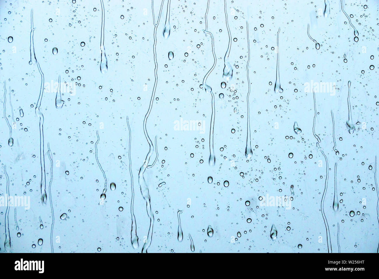 Miami Beach Florida, North Beach, pioggia vetro finestra raindrops streaming, meteo, FL190615030 Foto Stock