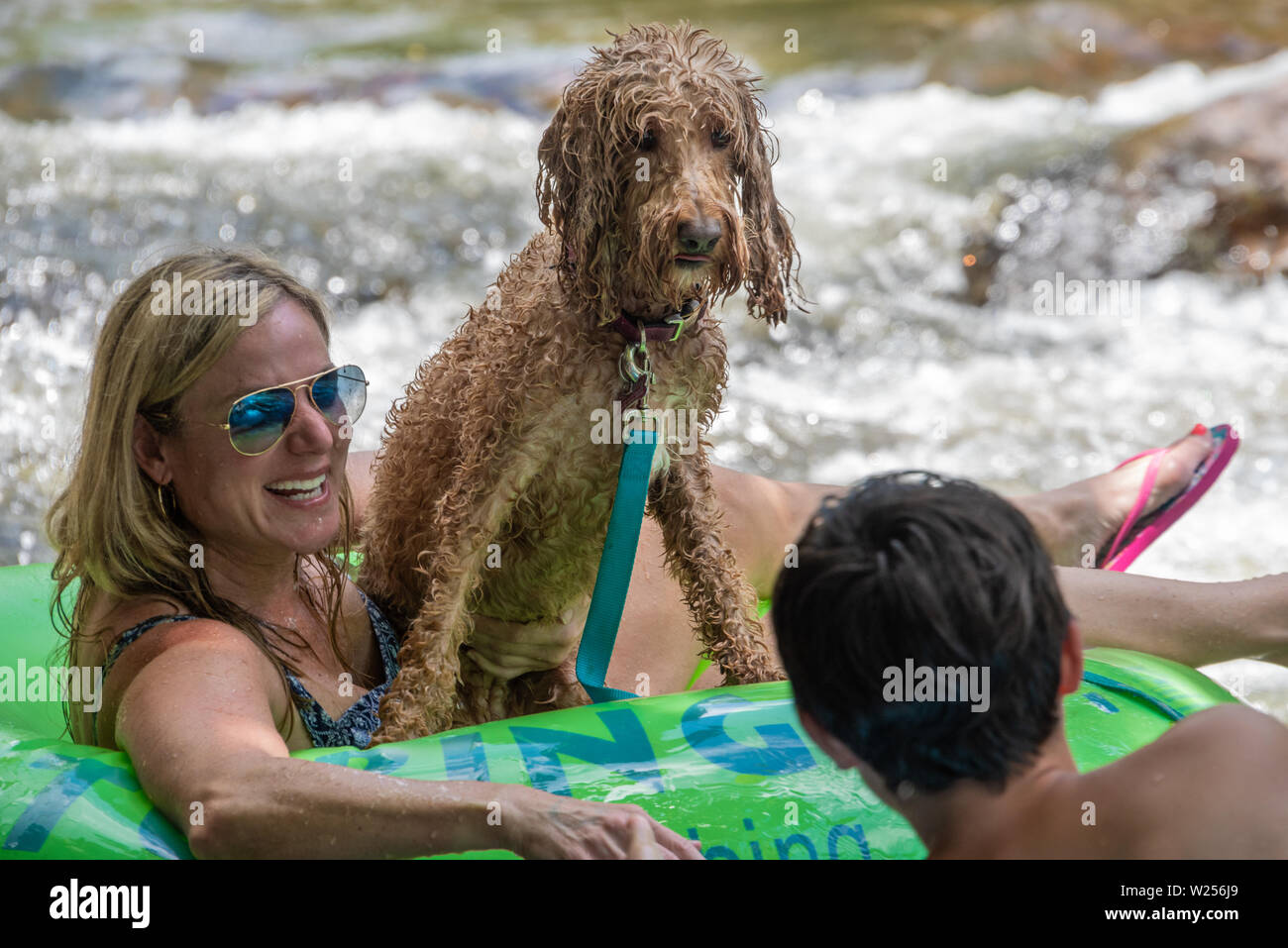 Tubi di famiglia il fiume Chattahoochee con il loro cane in Helen, Georgia. (USA) Foto Stock