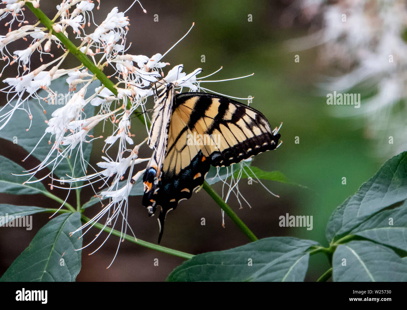 Bloccato su On Foto Stock