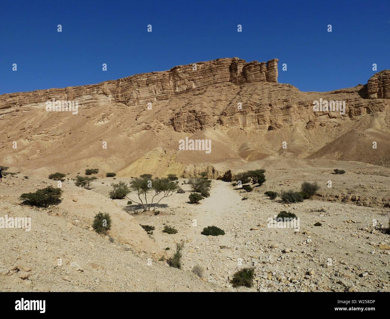 Scarpate di roccia sul bordo del Triassico e Giurassico affioramenti sedimentari a ovest di Riyadh Foto Stock