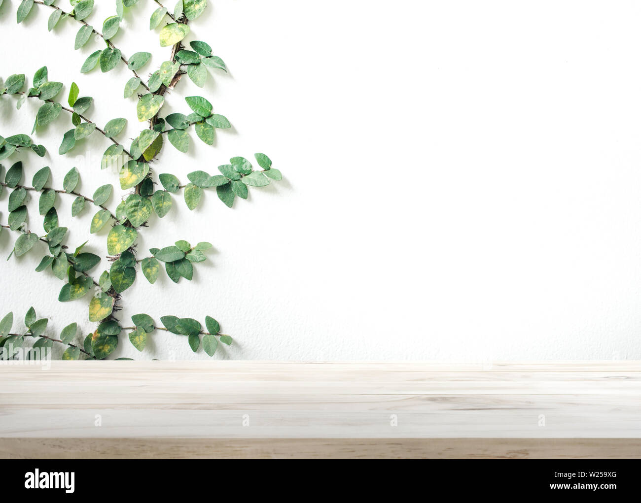 Tavola di legno in alto sul muro bianco con foglie sfondo.per montaggio display del prodotto o chiave di progettazione layout visivo Foto Stock