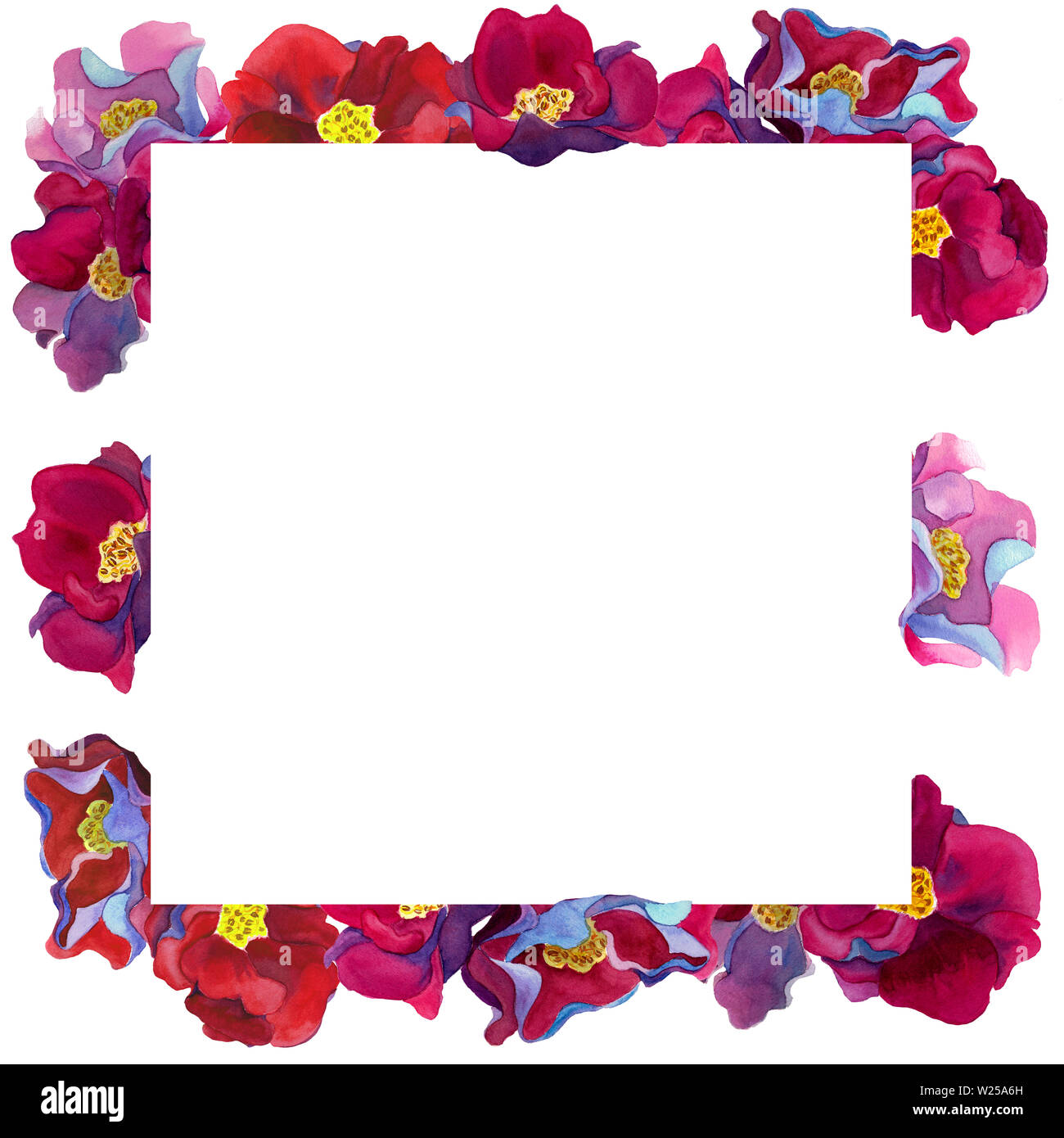 Telaio ad acquerello del fantastico con fiori rosa e petali di colore rosso, blu e viola le ombre, modello su sfondo bianco. Design per decorazioni per matrimoni Foto Stock