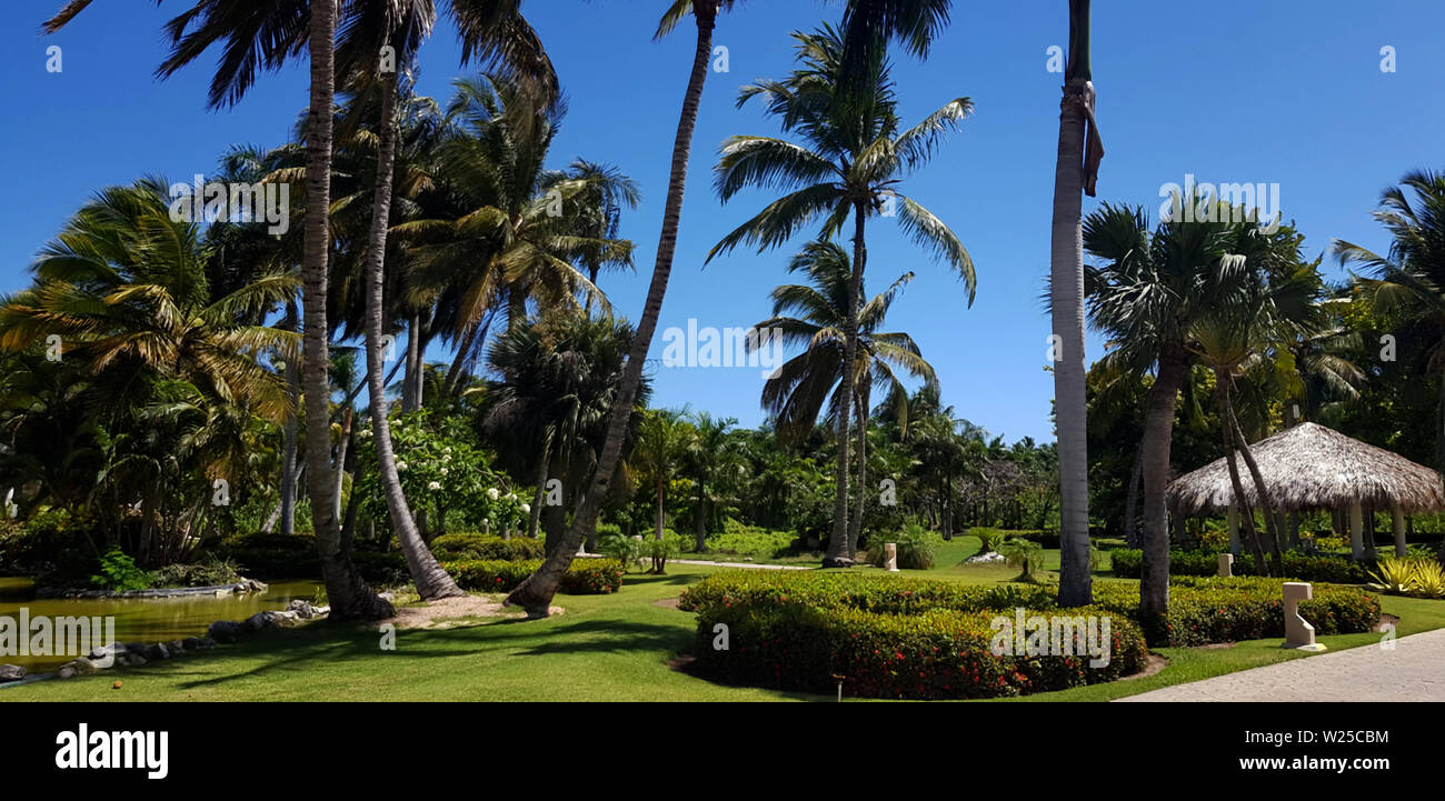 Punta Cana, Repubblica Dominicana, Bavaro Beach, vacanze, solo per adulti, Foto Stock