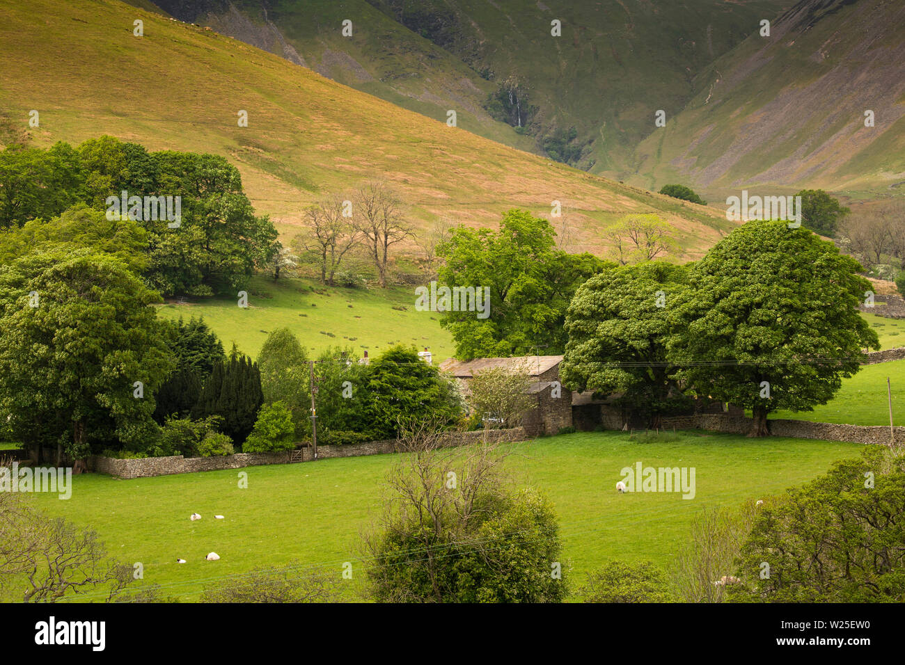 Regno Unito, Cumbria, York, Caultey,Cautley Thwaite Farm tra alberi al di sotto del tubo di lancio Cautley cascata che scorre fuori Howgill Fells Foto Stock