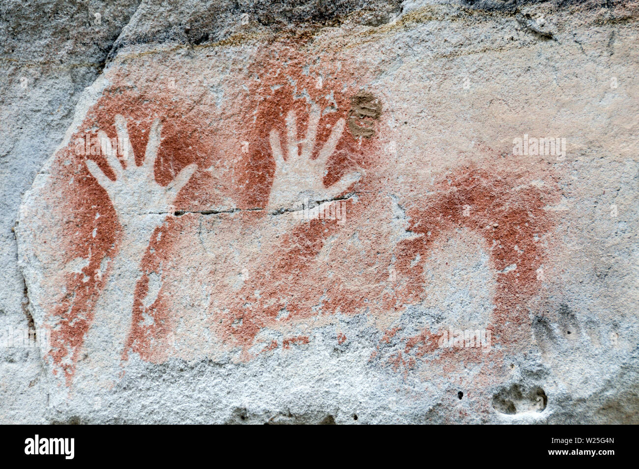 Un display di ben conservato rock Aborigena Arte stencil, credeva di essere 3.650 anni sulle bianche rocce di arenaria presso la "Galleria d'Arte" nella carna Foto Stock