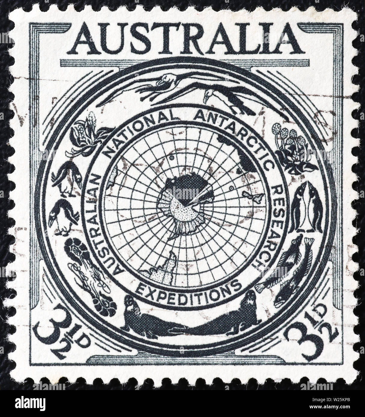 australiano-antartico-spedizioni-reaserch-celebra-il-francobollo-w25kpb.jpg