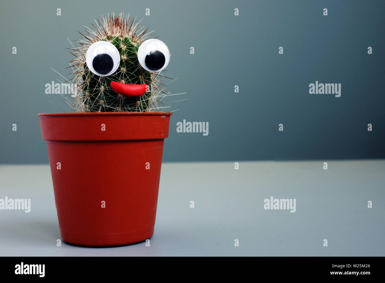 Il Cactus con gli occhi di giocattolo come faccia. Weird funny background. Foto Stock