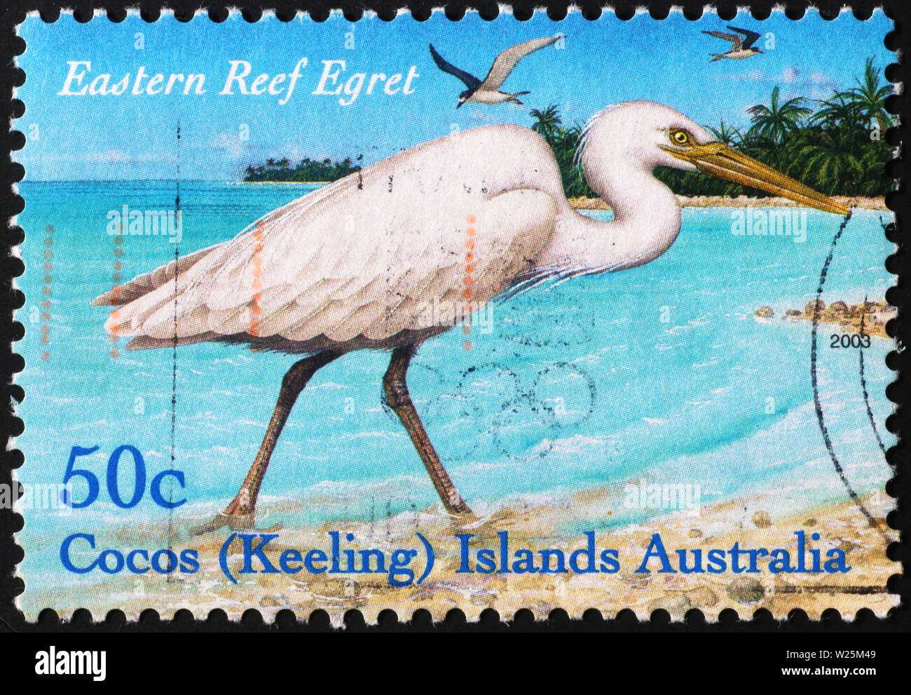 Scogliera orientale garzetta su australian francobollo Foto Stock