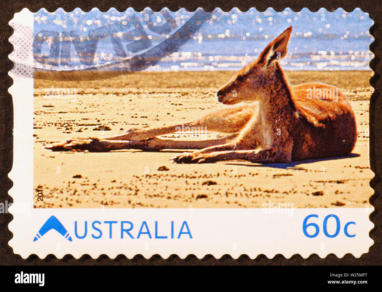 Kangaroo poggiante sulla spiaggia sul timbro australiano Foto Stock