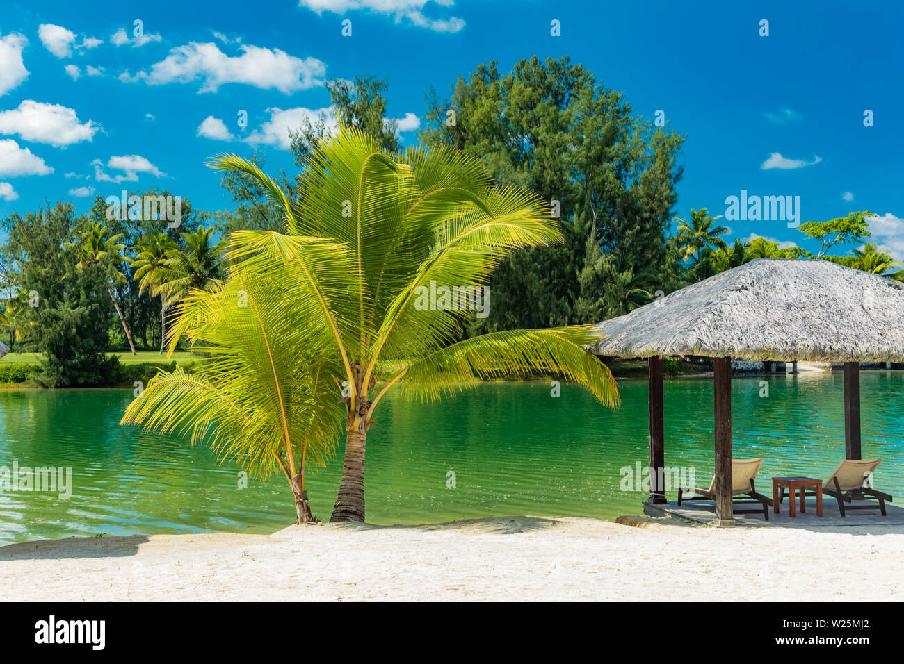 Tropical resort destinazione in Port Vila, l'isola di Efate, Vanuatu, con spiaggia e palme Foto Stock