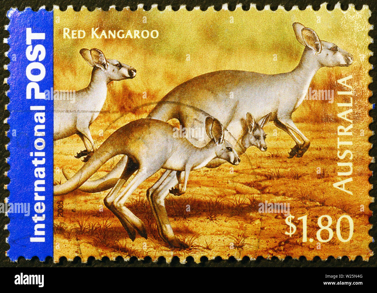 Tre i canguri su australian francobollo Foto Stock