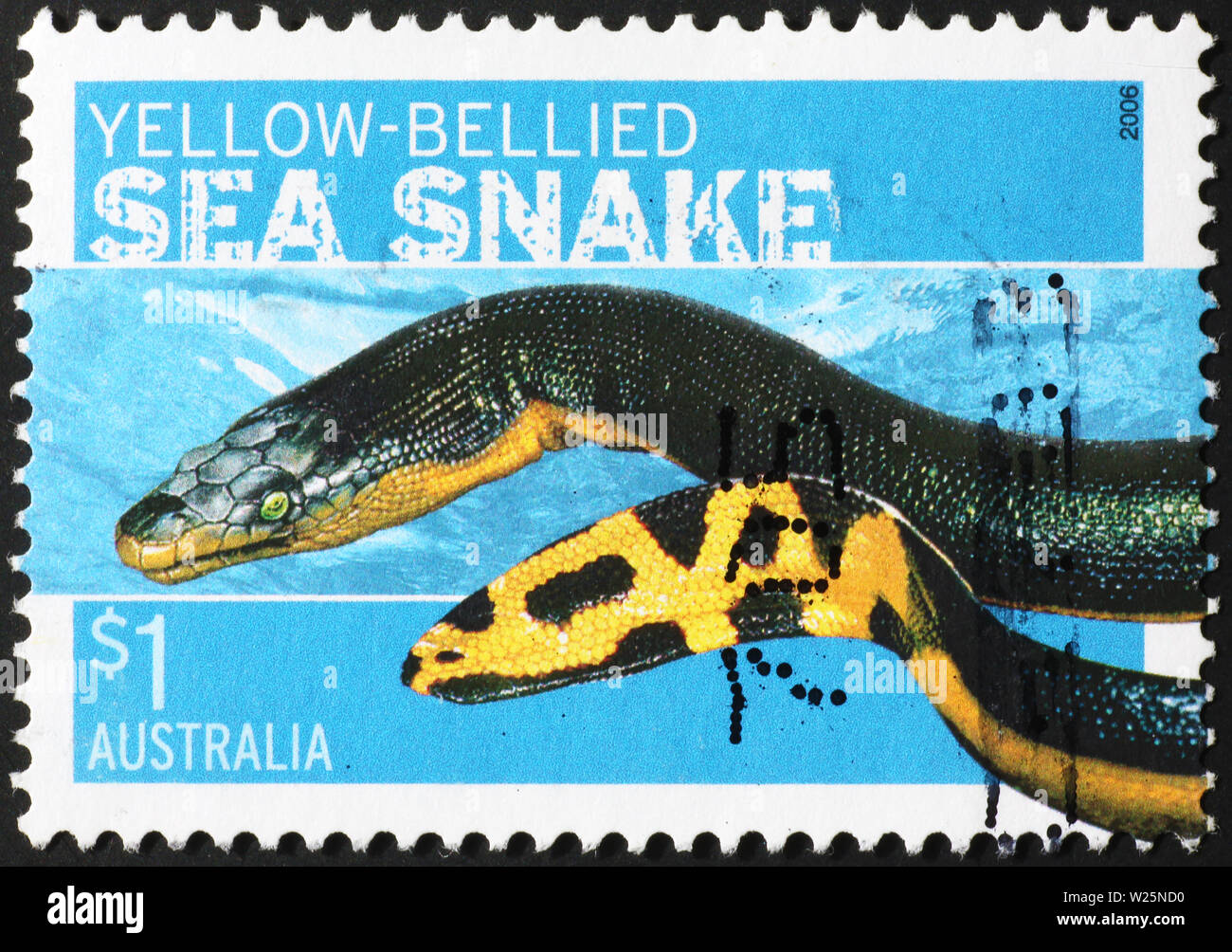 A becco giallo serpente del mare su australian francobollo Foto Stock