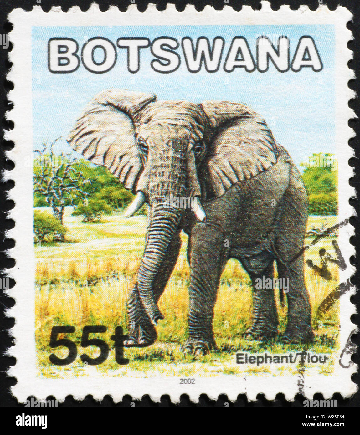 Elefante africano sul timbro del Botswana Foto Stock