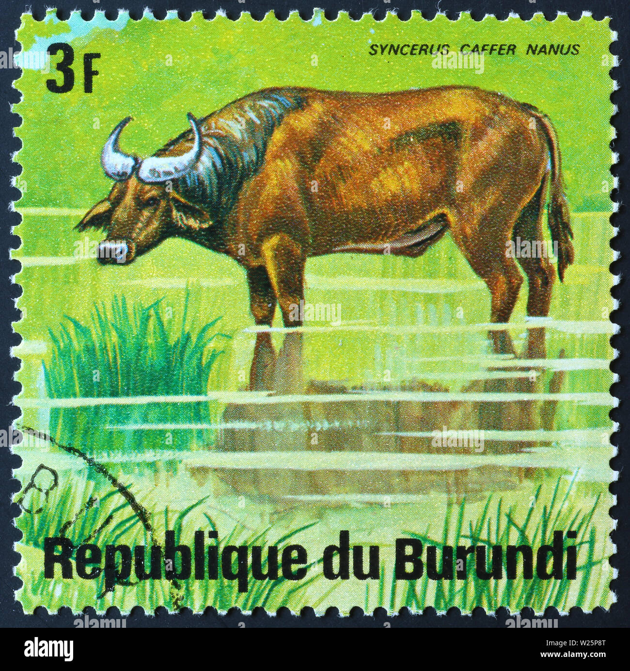 Foresta Africana buffalo sul francobollo del Burundi Foto Stock