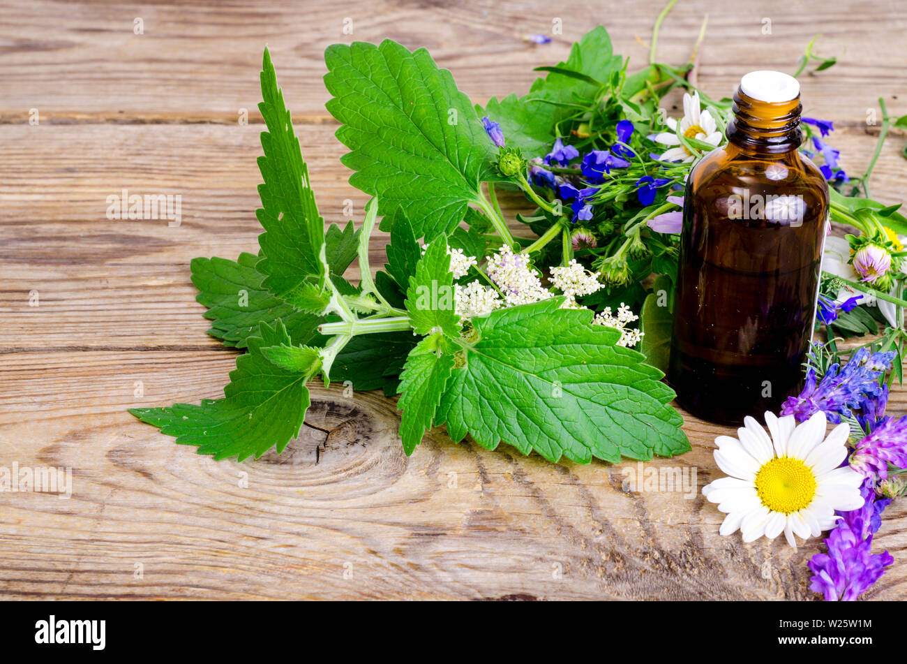 Tintura di farmaceutici, estratto di erbe in scuro bottiglia medica Foto Stock