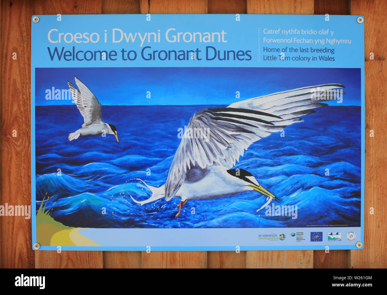 Informazioni segno a dune Gronant SSSI, Galles - la posizione di una popolazione di riproduzione di poco Sterne Foto Stock