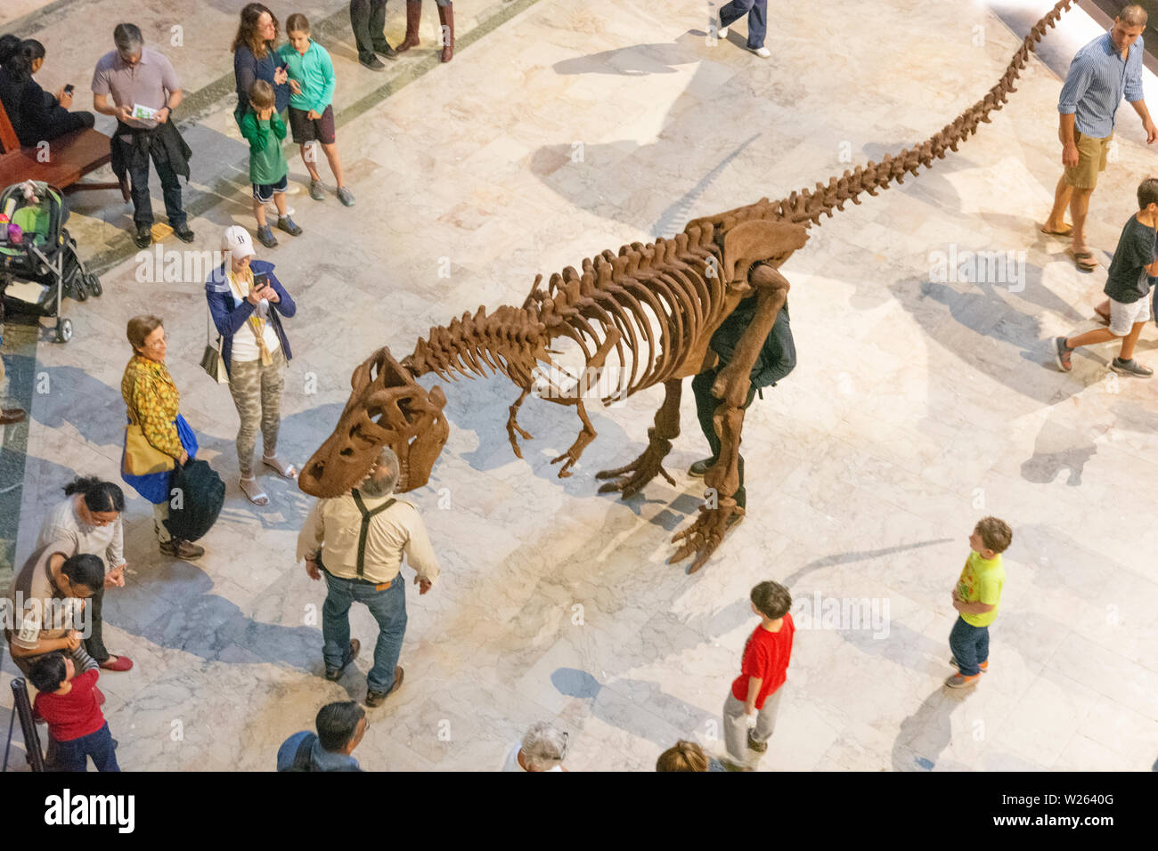 Un uomo che indossa una grande fantoccio di un T Rex skeleton finge di mangiare un visitatore nel Museo Nazionale di Storia Naturale Smithsonian Institution, lavaggio Foto Stock