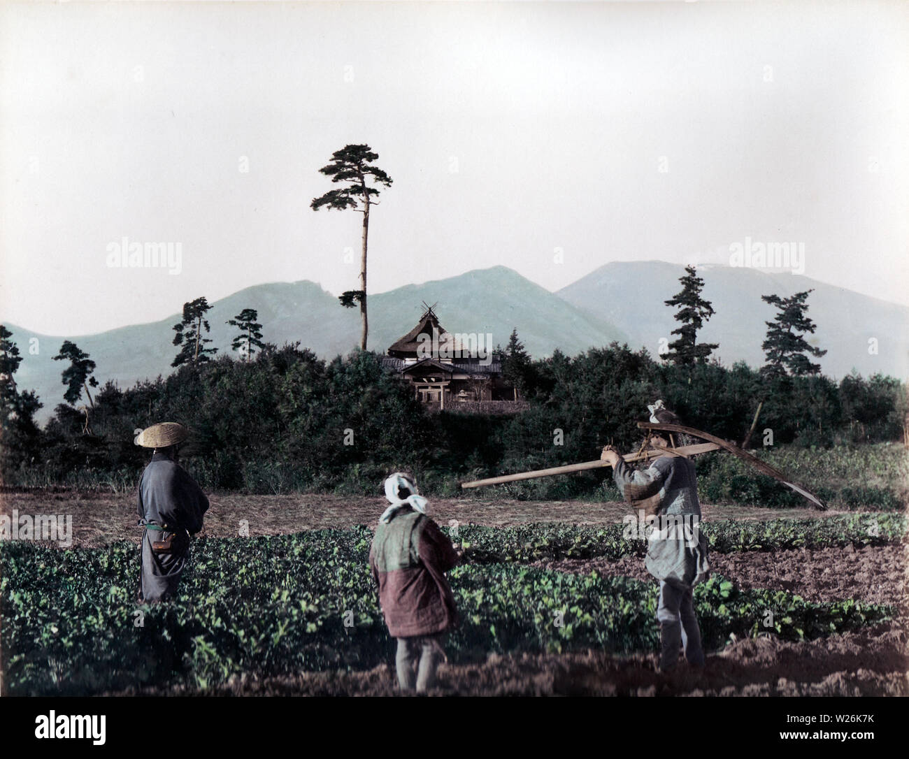 [ 1890 Giappone - gli agricoltori ] - Le persone che lavorano nel settore. Xix secolo albume vintage fotografia. Foto Stock