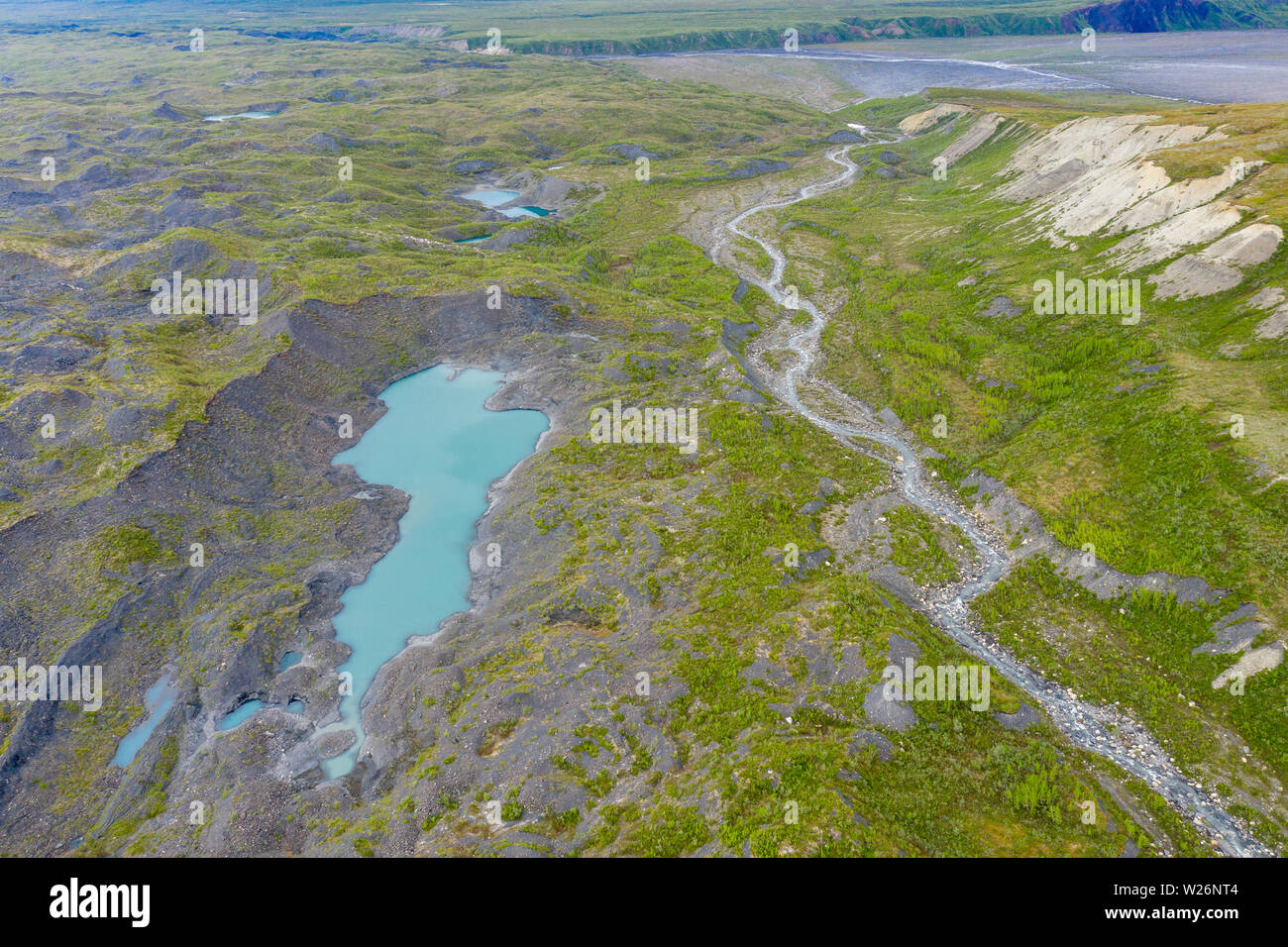 Parco Nazionale di Denali, Alaska, STATI UNITI D'AMERICA Foto Stock