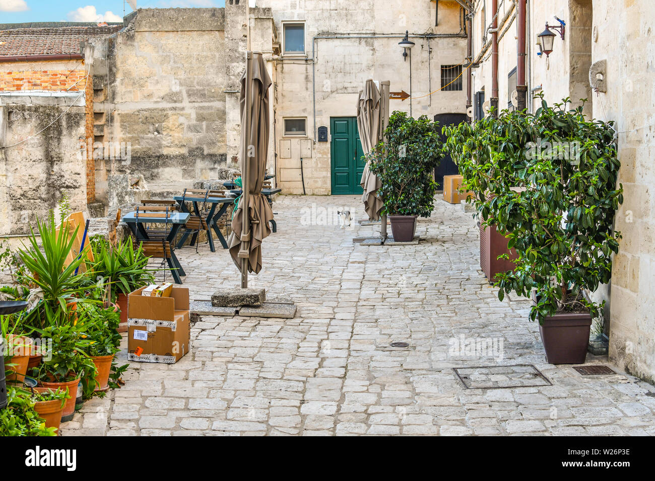 Una bella stray in bianco e nero cat corre in avanti in un piccolo patio giardino nell'antica città di Matera, Italia. Foto Stock
