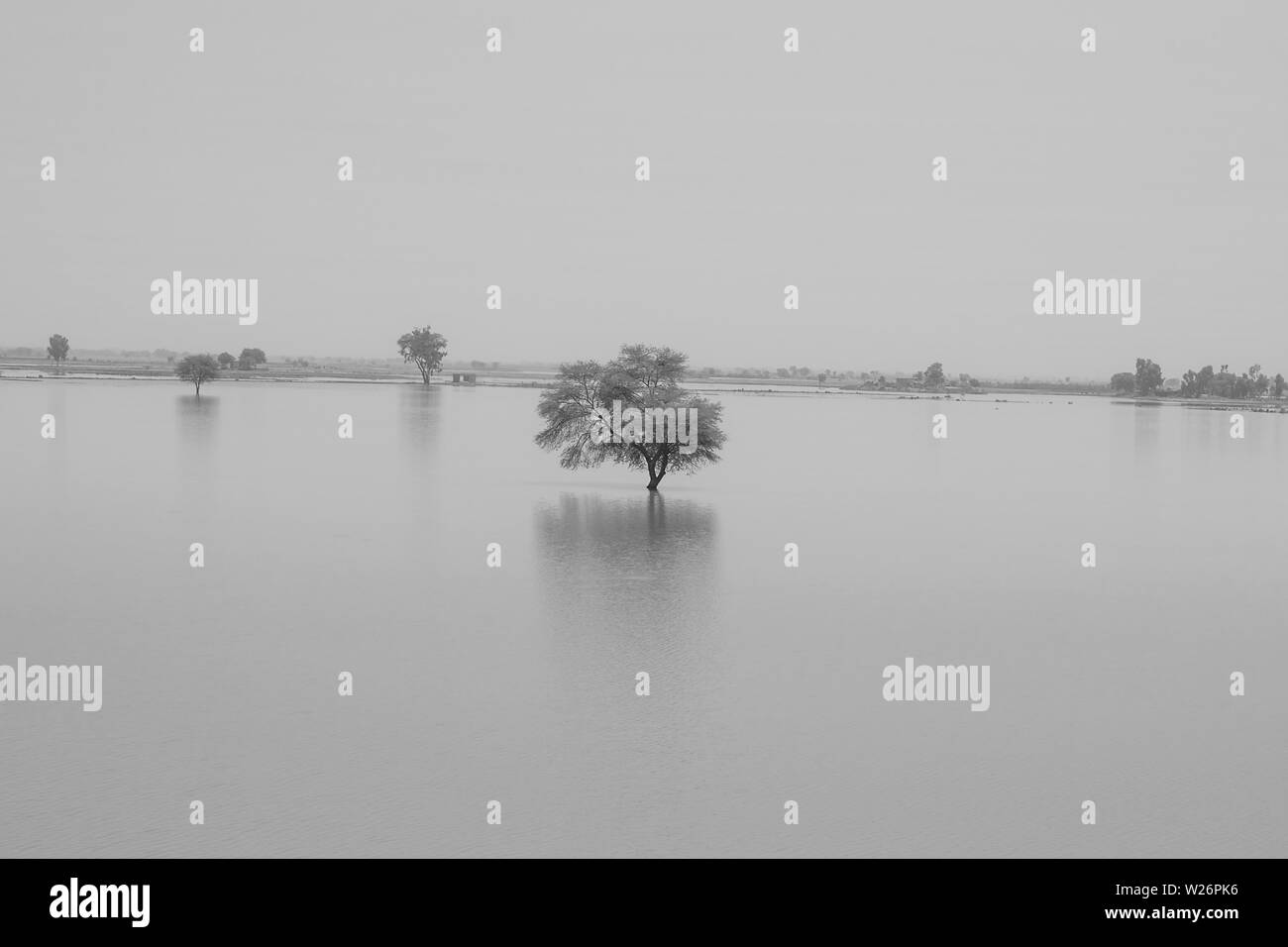 Un albero in un blue lago d acqua con lo sfondo del tramonto.tree in un lago nel Punjab, Pakistan. Foto Stock