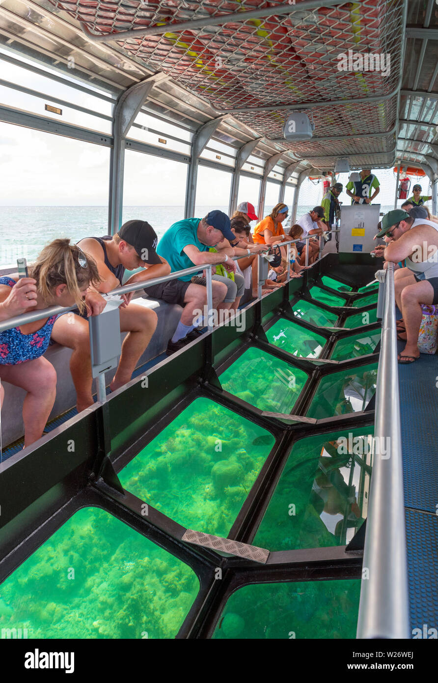 Barca Glass-Bottom spento verde isola, a Coral Cay nella Great Barrier Reef Marine Park, Queensland, Australia Foto Stock