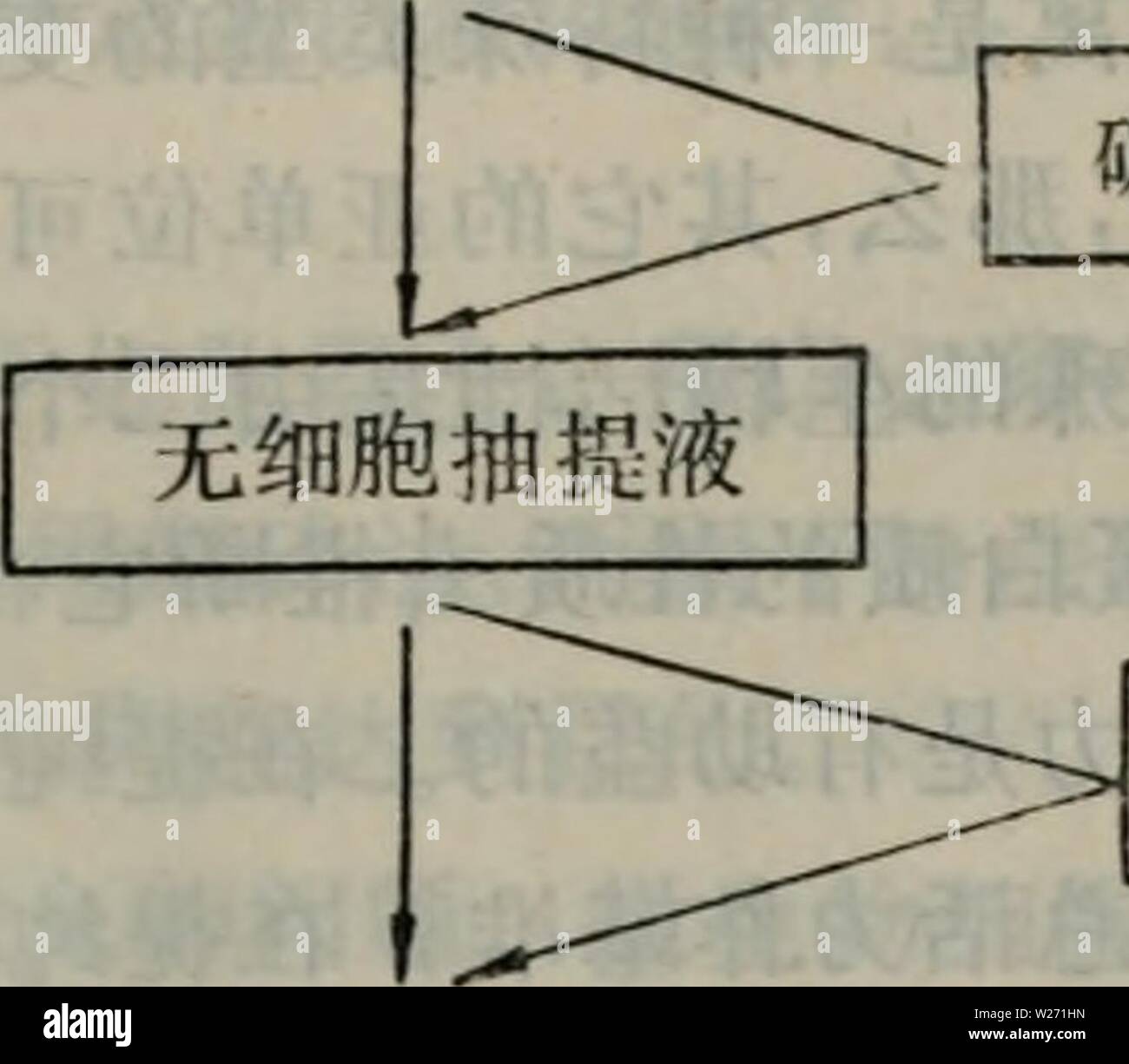 Immagine di archivio da pagina 32 di dan bai zhi fen zi. dan bai zhi fen zi ji chu danbaizhifenziji00taow anno: 198 Foto Stock