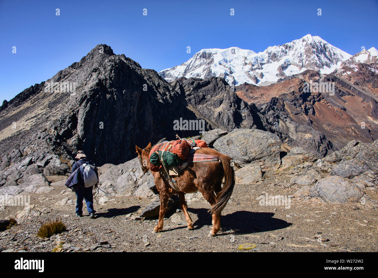 Attraversando l'Abra Illampu Pass, Cordillera Real traversa, Bolivia Foto Stock