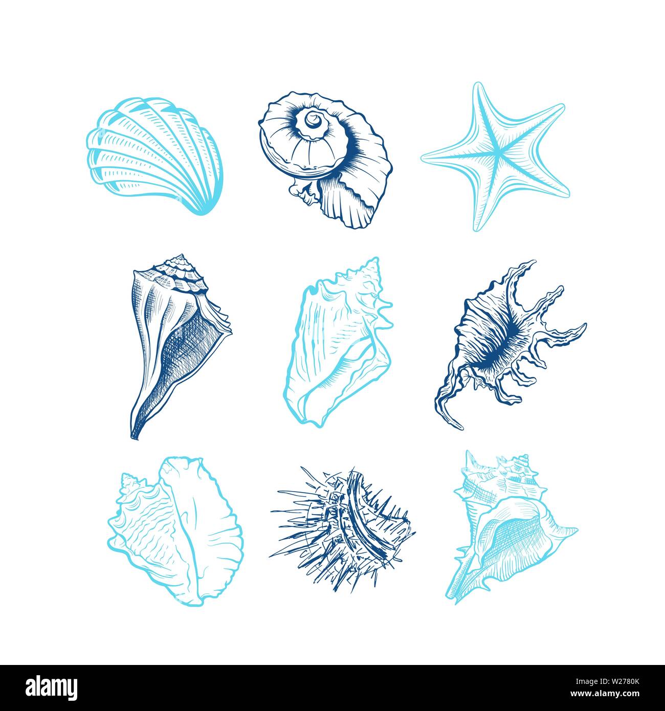 Seashells disegnati a mano illustrazioni vettoriali set. Animali subacquei, stelle marine, ricci di mare inchiostro blu incisioni isolati su sfondo bianco. Fauna oceanica, conformato a spirale conch disegni. Tattoo Adesivi Illustrazione Vettoriale