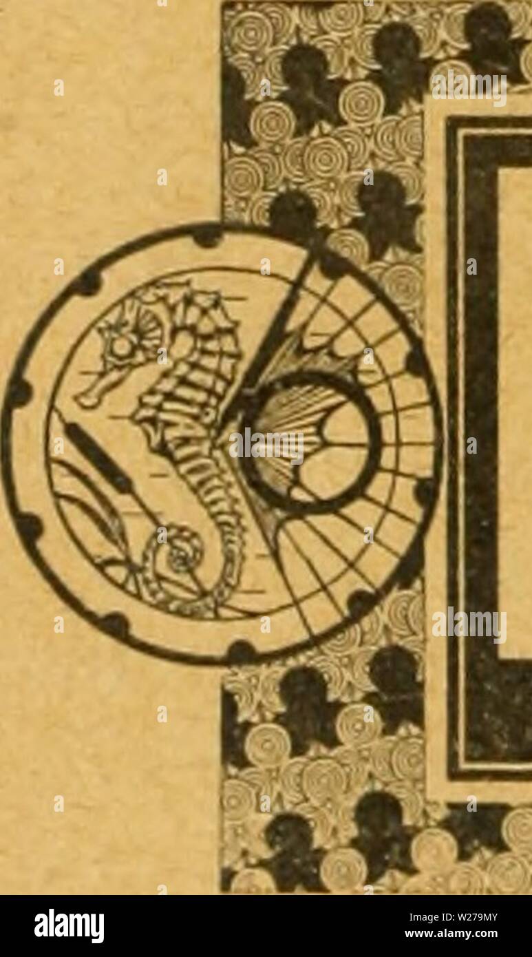 Immagine di archivio da pagina 255 del Dansk ornithologisk forenings tidsskrift (1907). Dansk ornithologisk forenings tidsskrift danskornithologi13dans l'anno: 1907 ORNITHOLOGISCHES JAHRBUCH. ORGAN FUR DAS ARKTISCHE PALÃ FAUNENGEBIET. ÂORNITHOLOGISCHES JAHRBUCH', som udelukkende beskÃ¦ftiger sig med den europÃ¦iske, henholdsvis palÃ¦arktiske Fuglefauna, begynder med 1919 peccato 30. Aargang. Den udkommer (paa tysk) aarlig ho 6 Hefter paa 2V2â3 Arca, Prisen per en Aargang er ved direkte a indsende BelÃ'scommettere 10 Rmk. ho Bog- handelen 12 RMK. LÃ¦reanstalter faar Aargangen til nedsat Pris af 6 RMK. (Kun ved di- Foto Stock