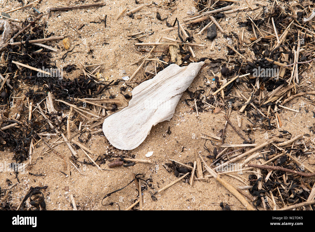 Spiaggia di plastica e di inquinamento del mare - assorbente igienico di plastica contenenti lavato fino sulla spiaggia in Fife, Scozia, Regno Unito Foto Stock