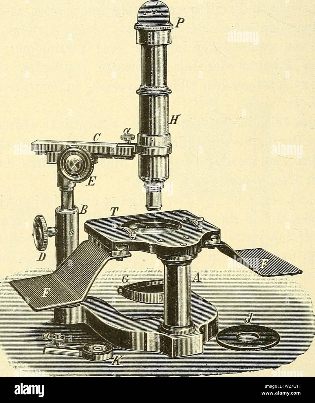 Immagine di archivio da pagina 275 di Das Mikroskop Ein Leitfaden der. Das Mikroskop. Ein Leitfaden der wissenschaftlichen Mikroskopie dasmikroskopeinl00zimm Anno: 1895 264 einem System von Linsen, das a circuizione optischen Wirkung derjenigen mit einer Convexlinse übereinstimmt. Dieselben sind auch häufig in modo ein- o-erichtet, dass bei ihnen durch Abschrauben der vorderen Linsen eine Verminderung der Vergrösserung herbeigeführt werden kann. Mit Hilfe dieser Linsen wird nun in gleicher Weise wie bei der gewöhnlichen Beobachtung mit der Lupe von dem zu beobachtenden Objecte ein aufrechtes, vergrössertes Foto Stock