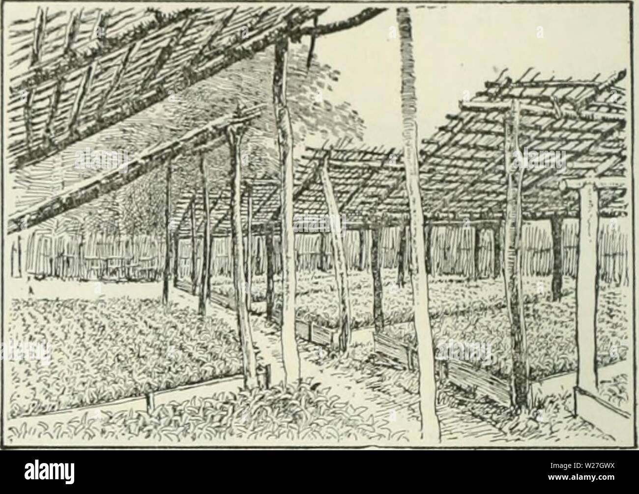 Immagine di archivio da pagina 279 di dell'Enciclopedia delle colture di fattoria Foto Stock