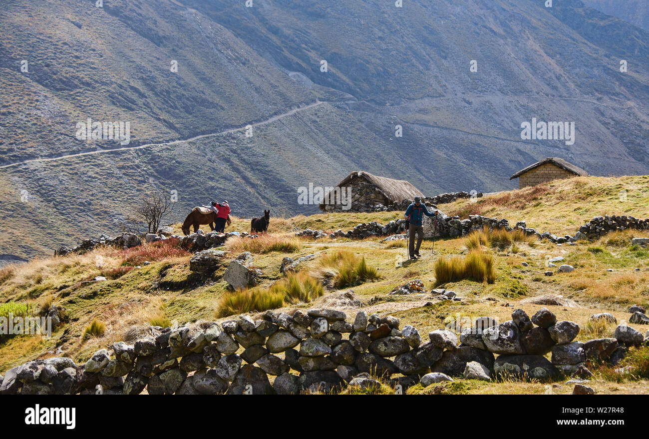 Trekking a cavallo attraverso la Cordillera Real mountain range, Bolivia Foto Stock