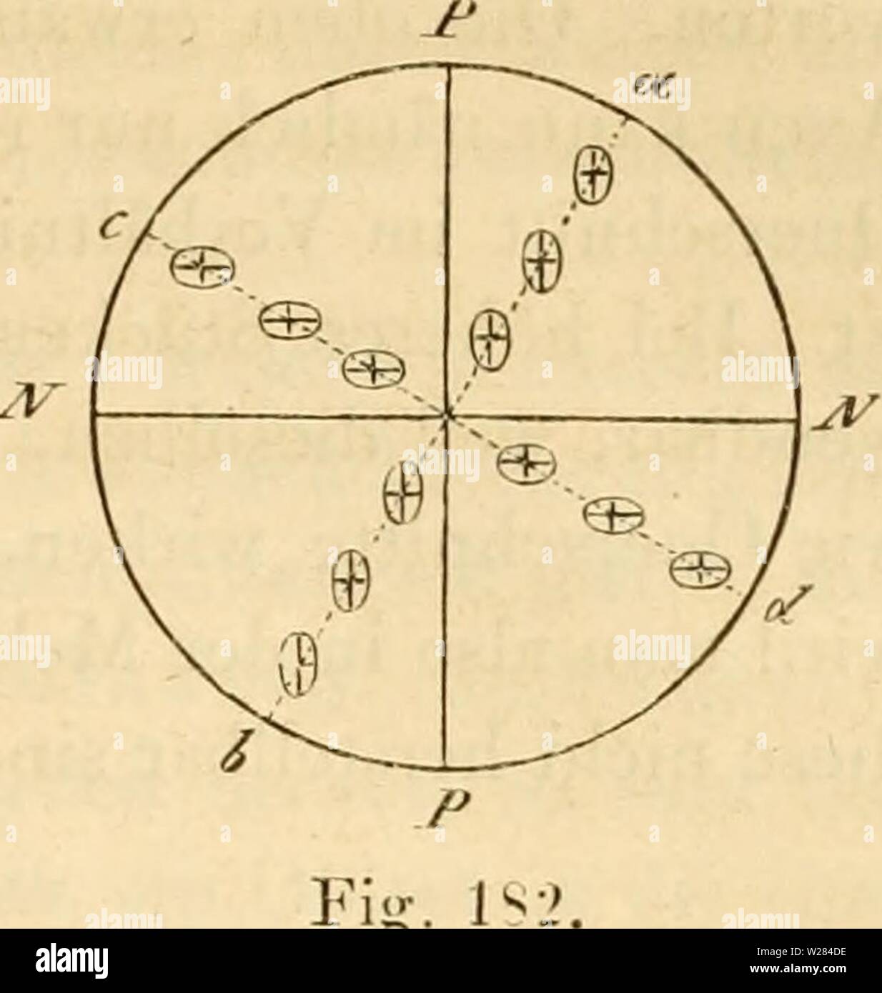 Immagine di archivio da pagina 358 di Das Mikroskop, Theorie und Anwendung. Das Mikroskop, Theorie und Anwendung desselben dasmikroskoptheo01ng Anno: 1867 Cylindiisclie übjecte. 339 rechte Ax nach einander zum Vorschein kommen, finden sich auf der Schnittfläche gleichzeitig' neben einander. Zwei diame- trale Zonen ah und cd, in welchen die Axn der Elasticitätsellipsen in die pola- risationsebenen PP und ISN der Nichols caduti, demzufolge wirken wie einfach brechende Medien; sie erscheinen ohne Gypsplättchen schwarz und Mit einem Gypsplättchen von der unveränderten In- terferenzfarbe desselben e Foto Stock