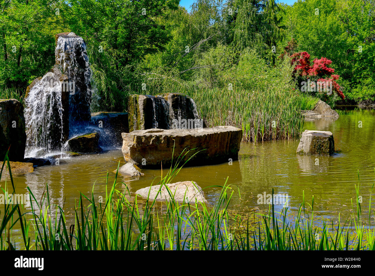 Piccolo stagno in un parco con una fontana di pietra e boccola rossa Foto Stock