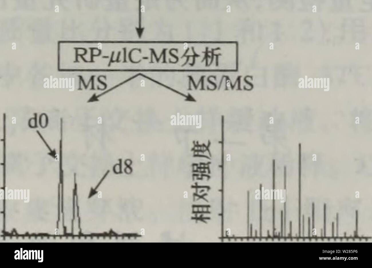 Immagine di archivio da pagina 366 di dan bai zhi hua xue. dan bai zhi hua xue yu dan bai zhi zu xue danbaizhihuaxuey00xiaq Anno: 2004.4 éè¯åï¼d8-ICAT(X=Dï¼ae°è½ ï¼"è¯åï¼dO-ICAT(X=Dï¼ae°ï¼ ae¥å¤' çåºååºåºå¢ å¾17.3 ICATè¯åçç"ae ICATè¯åå ae¬ä'é¨åãâ ååºåºå¢ï¼å¯ç¹å¼å°ä'èç½è'¨ä¾§é¾ä'çCysae®åºçå·¯åº (ä'SH)è¿è¡ååºï¼ä½¿è¯åå ±ä"·ç"åå¨èç½è'¨ä¾§é¾ä'ãâ¡åä½ç' ae è®°çae¥å¤'ï¼å"aeç¨³å®å ä½ç' (HåD)çae è®°ãâ¢äº²åae è®°çççç' ï¼ç¨äºåç¦"ae è®°çèç½è'¨aeå¤è½ã å½ICATè¯åä'-8ä'ªXä½ç½®è¢"Håä"£ae¶ï¼ç§°ä'ºè½"è¯å(Db)ï¼å½8ä'ªXä½ç½®è¢"Dåä"£ ae¶ï¼ç§°ä'ºéè¯åï¼08)ãå ae-¤éè¯åae¯è½"è¯åçç'å¯¹åå-è'¨éè¦å¤§8Daï¼èä'ä'¤ç§è¯åçå å-¦ae§è'¨ç'åï¼å½åå"ç¨ä'¤ç§è¯åå Foto Stock