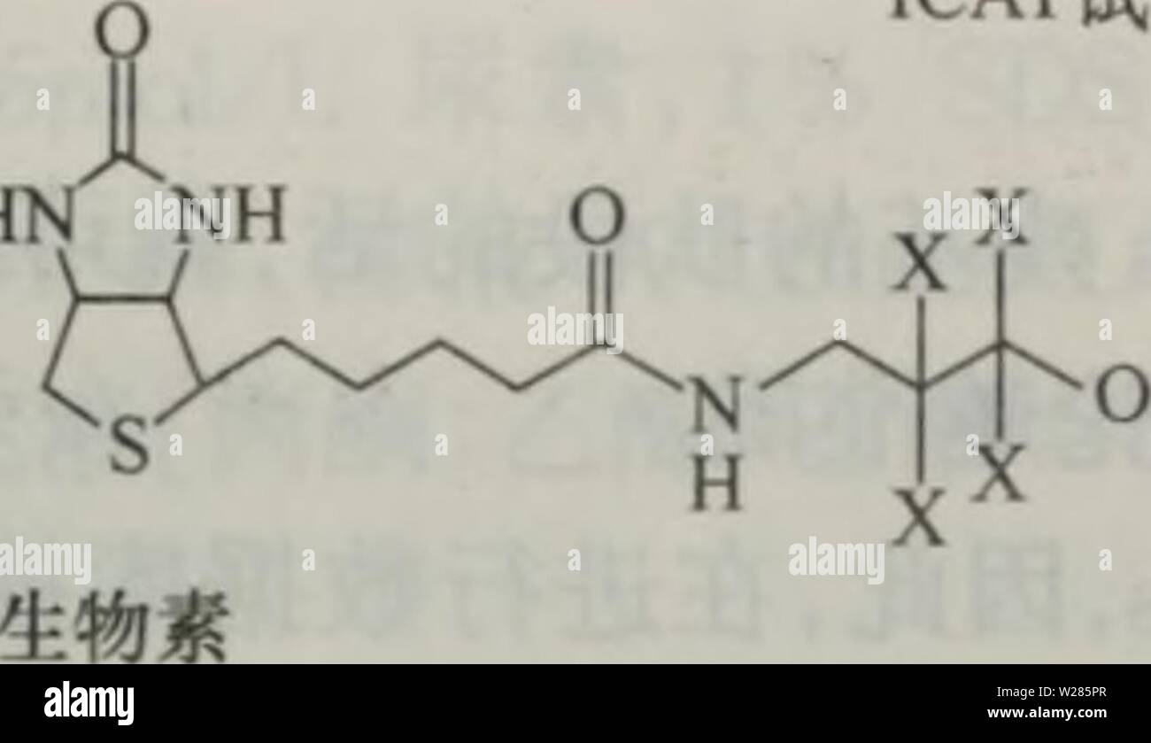 Immagine di archivio da pagina 366 di dan bai zhi hua xue. dan bai zhi hua xue yu dan bai zhi zu xue danbaizhihuaxuey00xiaq Anno: 2004.4 aeå¦å¾17.3aeç¤º&LT; HN NH ICATè¯å: éè¯åï¼d8-ICAT(X=Dï¼ae°è½ ï¼"è¯åï¼dO-ICAT(X=Dï¼ae°ï¼ ae¥å¤' çåºååºåºå¢ å¾17.3 ICATè¯åçç"ae ICATè¯åå ae¬ä'é¨åãâ ååºåºå¢ï¼å¯ç¹å¼å°ä'èç½è'¨ä¾§é¾ä'çCysae®åºçå·¯åº (ä'SH)è¿è¡ååºï¼ä½¿è¯åå ±ä"·ç"åå¨èç½è'¨ä¾§é¾ä'ãâ¡åä½ç' ae è®°çae¥å¤'ï¼å"aeç¨³å®å ä½ç' (HåD)çae è®°ãâ¢äº²åae è®°çççç' ï¼ç¨äºåç¦"ae è®°çèç½è'¨aeå¤è½ã å½ICATè¯åä'-8ä'ªXä½ç½®è¢"Håä"£ae¶ï¼ç§°ä'ºè½"è¯å(Db)ï¼å½8ä'ªXä½ç½®è¢"Dåä"£ ae¶ï¼ç§°ä'ºéè¯åï¼08)ãå ae-¤éè¯åae¯è½"è¯åçç'å¯¹åå-è'¨éè¦å¤§8Daï¼èä'ä'¤ç Foto Stock
