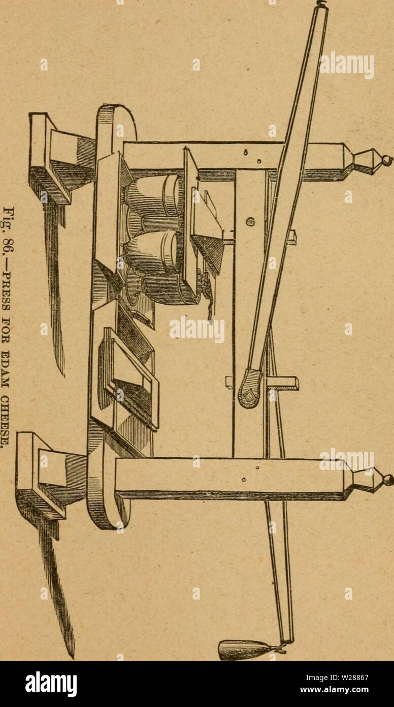 Immagine di archivio da pagina 382 del casaro's manuale; una pratica. Il casaro's manuale; una pratica Treatise on il caseificio dairymansmanualp01stufare Anno: 1888 Formaggi"E MAKINO. 877 mani negli stampi, come mostrato in figura 85. In questo processo l'operaio coltiva ogni mano con ricotta e lo preme insieme, riducendolo ad una torta morbida, che si butta con vigore nella parte inferiore dello stampo. Egli ripete questo processo uniil lo stampo viene riempito quando la massa di cagliata viene premuto insieme e prelevato e ri- Foto Stock