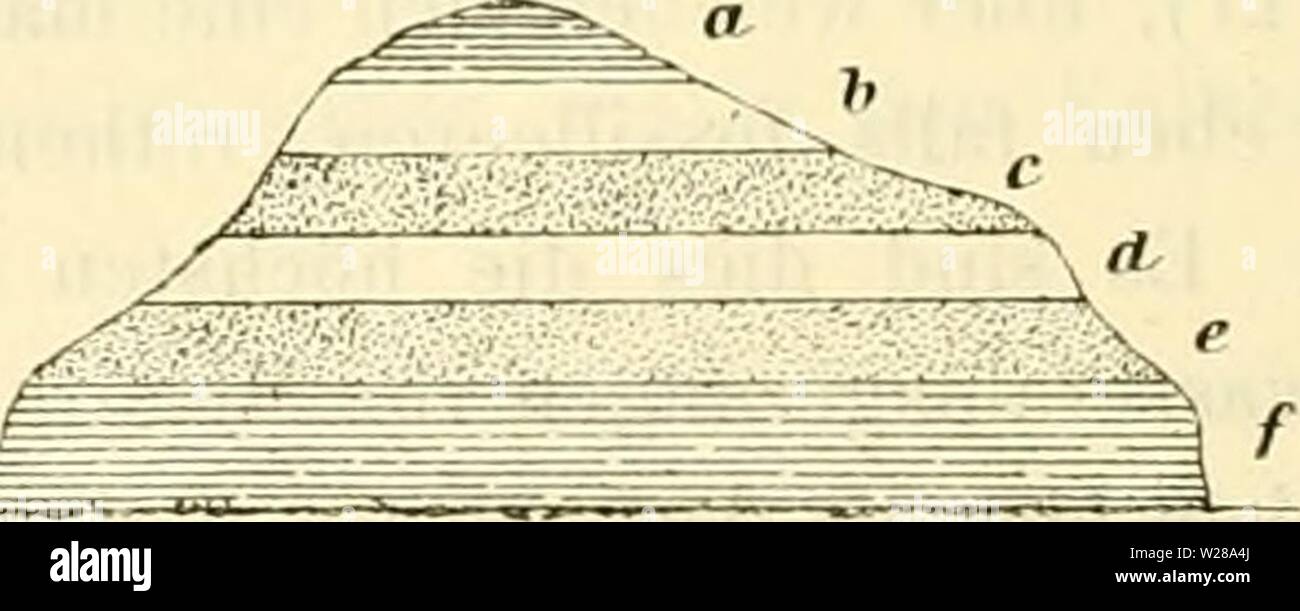 Immagine di archivio da pagina 397 di Denkschriften der Kaiserlichen Akademie der. Denkschriften der Kaiserlichen Akademie der Wissenschaften, Mathematisch-Naturwissenschaftliche Classe denkschriftender37kais Anno: 1877 Rothe Mergel ohne Fossilien. a. Grauer Mergel mit Melanopsis, Paludina. h. Plattiger Kalk mit Melanopsis und Paludina. c. Grauer Mergel mit denselben Fossilien. d. Plattiger Kalk mit denselben Fossilien. e. Graner Tegel mit Melanopsis. f. Dünnes Lignitflötz. g. Grauer Tegel mit Melanopsis. Ii. Dünnes Lignitflötz. i. Graner Mergel mit harten Bänken. k. Gelber Mergel mit Melanopsis onu Foto Stock