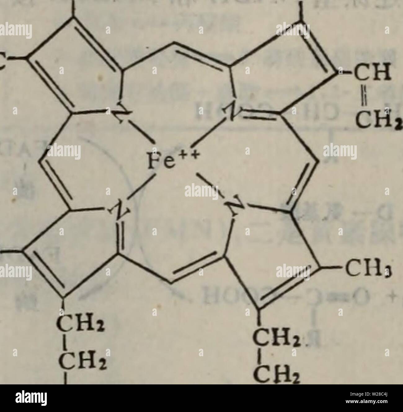 Immagine di archivio da pagina 413 di dan bai zhi fen zi. dan bai zhi fen zi ji chu danbaizhifenziji00taow anno: 19 Foto Stock
