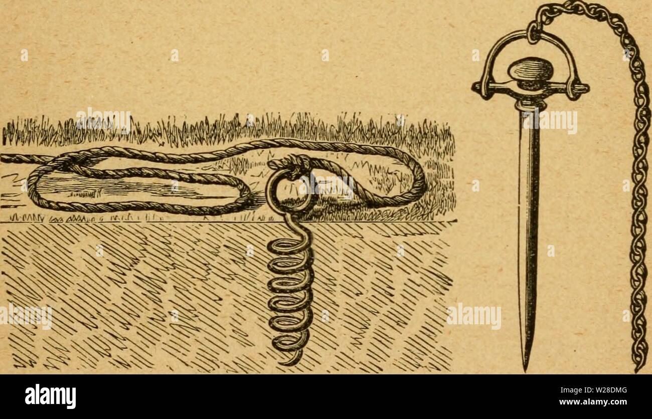 Immagine di archivio da pagina 426 del casaro manuale di a. Il casaro il manuale : un pratico trattato sui prodotti lattiero-caseari, ivi compresa la selezione della fattoria dairymansmanualp88stufare Anno: 1888 il caseificio di famiglia. 421 zione di un liberale della fornitura di latte e crema di latte per la fam- ily durante tutta l'estate. Quattro quinti di tale ma- ter è stato entusiasticamente acquistati dai vicini a cinquanta centesimi e verso l'alto per libbra, dando un bellissimo interesse dopo il valore delle mucche. La fattoria, a poche miglia lontano, aveva un mezzo miglio della strada attraverso di essa, che è stata mantenuta in buone condizioni di ordine, senza aiuto da parte superficiale della strada e master Foto Stock