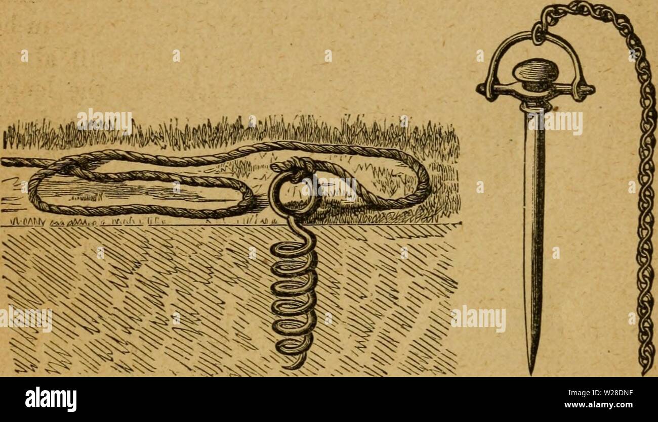Immagine di archivio da pagina 426 del casaro's manuale; una pratica. Il casaro's manuale; una pratica Treatise on il caseificio dairymansmanualp00stufare Anno: 1888 il caseificio di famiglia. 421 zione di un liberale della fornitura di latte e crema di latte per la fam- ily durante tutta l'estate. Quattro quinti di tale ma- ter è stato entusiasticamente acquistati dai vicini a cinquanta centesimi e verso l'alto per libbra, dando un bellissimo interesse dopo il valore delle mucche. La fattoria, a poche miglia lontano, aveva un mezzo miglio della strada attraverso di essa, che è stata mantenuta in buone condizioni di ordine, senza aiuto da parte superficiale road master e il suo grado di assistenti, in Foto Stock