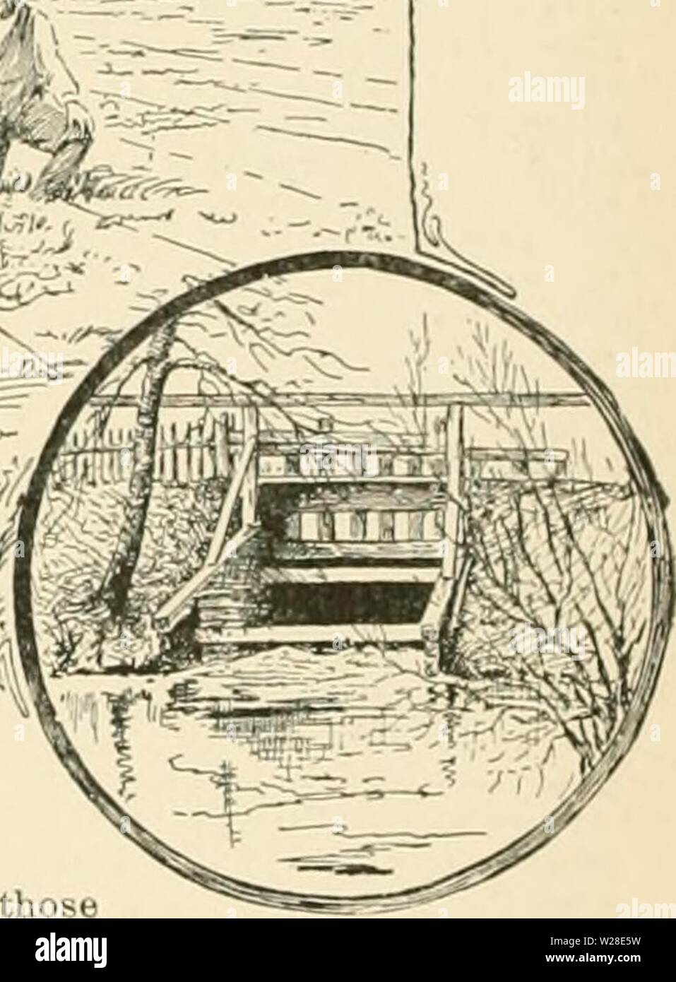 Immagine di archivio da pagina 431 di dell'enciclopedia di American orticoltura, comprendente. Dell'enciclopedia di American orticoltura comprendente suggerimenti per la coltivazione di piante orticole, descrizioni delle specie di frutta e ortaggi, fiori e piante ornamentali vendute negli Stati Uniti e in Canada, insieme geografico e biografie cyclopediaofam01bail Anno: 1900 CRANBERRY alluvione in primavera o in autunno, per uccidere gli insetti o per proteggere dalle gelate. Gli oggetti di allagamento sono come segue: (1) per proteggere le piante di ansante in inverno; (2) per evitare la fine della primavera e inizio di caduta fros Foto Stock